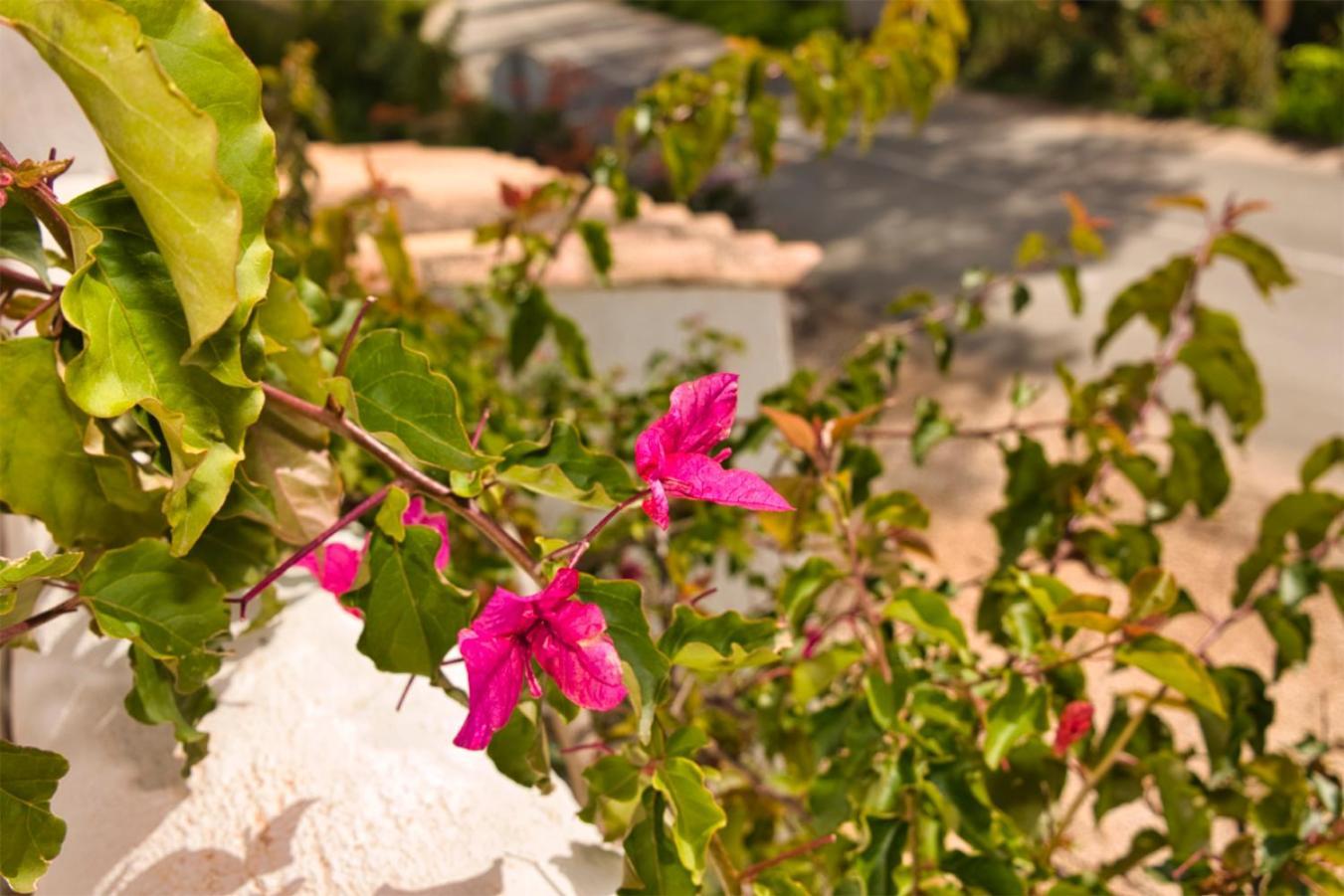 Casa De Koko Daire Turre Dış mekan fotoğraf